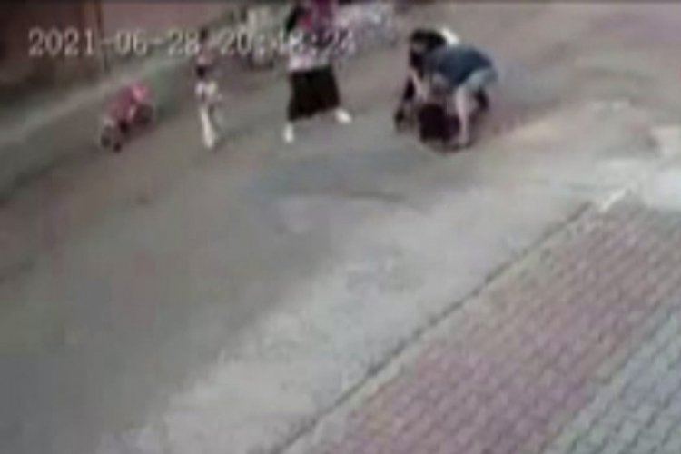 Küçük çocuğa saldıran pitbullun sahipleri adli kontrol şartıyla serbest