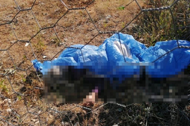 İki kadın feci kazada &ouml;ld&uuml;