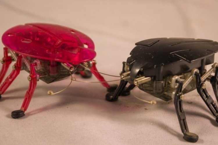 Hızlı ve &ccedil;evik robot b&ouml;cekler geliyor!