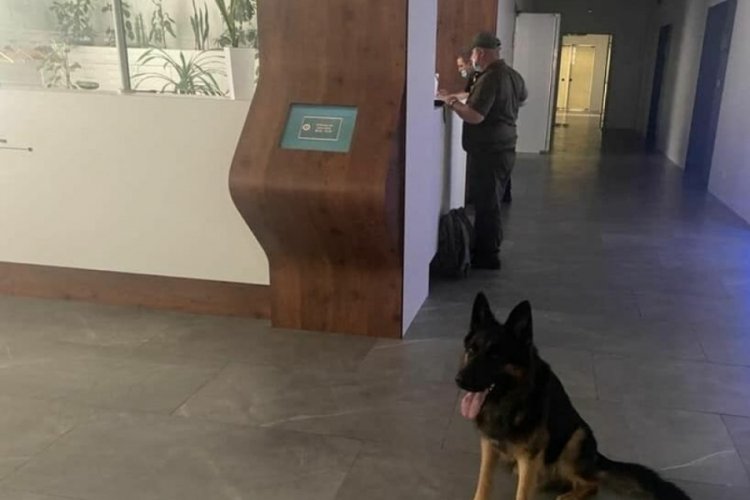Ukrayna'da bomba paniği: 'Bitcoin yollamazsanız bombayı patlatırım'