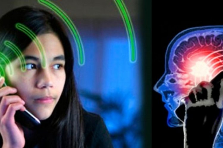 G&uuml;nde 17 dakika cep telefonu kullanmak kanser riskini y&uuml;kseltiyor