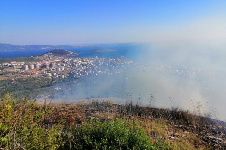 Erdek'te 5 hektar makilik alan yandı