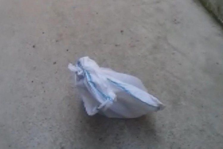 Hayvan d&uuml;şmanı, kediyi &ccedil;uvala koyup evin bah&ccedil;esine attı!