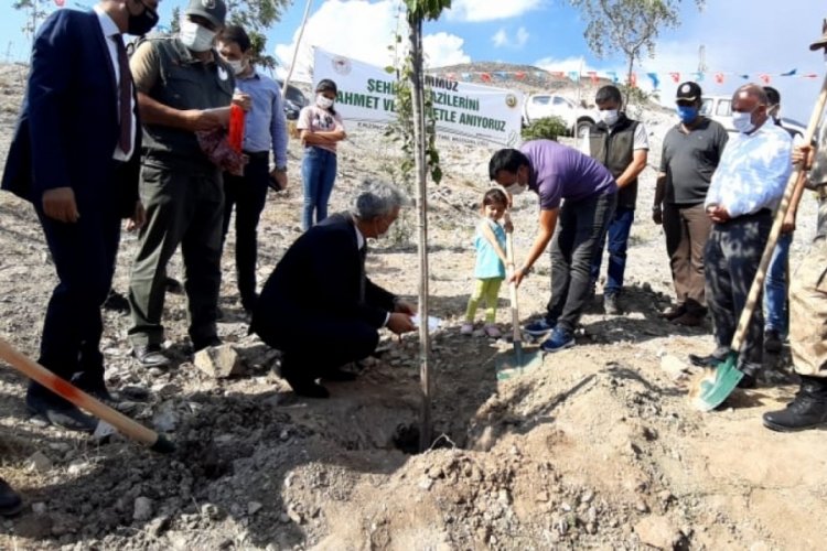 Erzincan'da yeğeni şehit dayısı i&ccedil;in Vali Makas'la fidan dikti