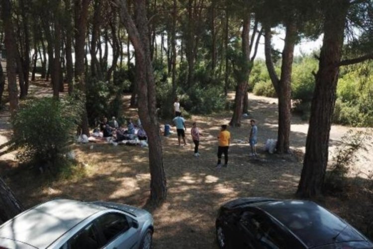 İzmir'de ormanlara giriş yasaklandı
