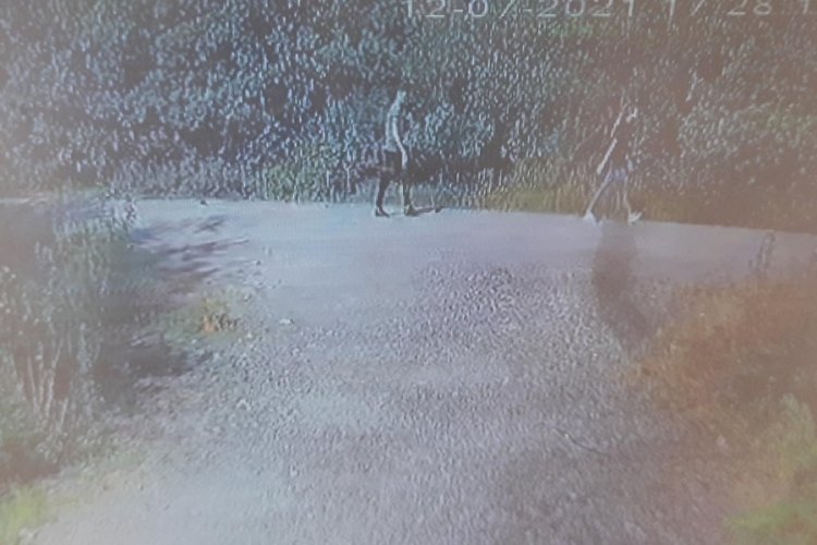 Kocaeli'de gen&ccedil; kıza cinsel istismara kalkışıp, başına taşla vurdu!