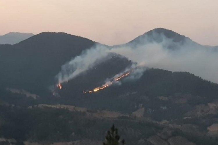 Hatay'da iki noktada orman yangını