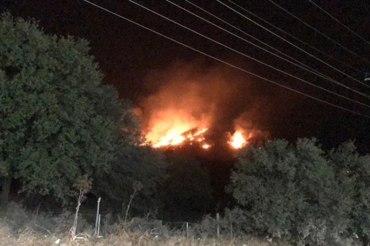 Bodrum G&uuml;m&uuml;şl&uuml;k'te sazlık yangını