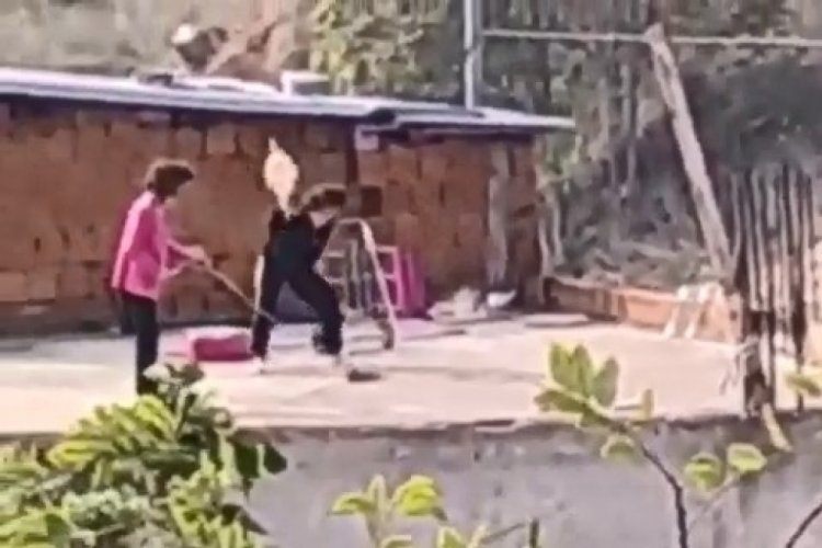 2 &ccedil;ocuk kediye feci şekilde işkence yaptı!