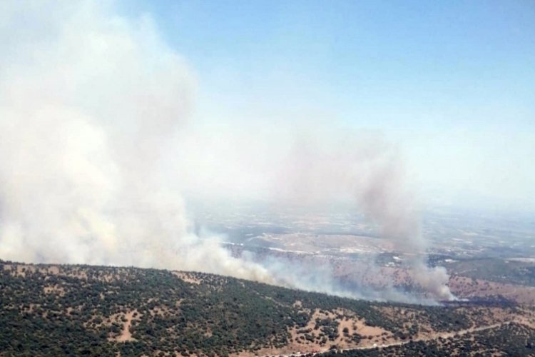 Manisa'da makilik alanda yangın &ccedil;ıktı