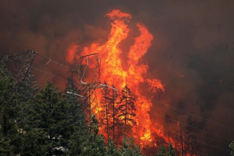 ABD'deki yangın 82 kilometreye yayıldı