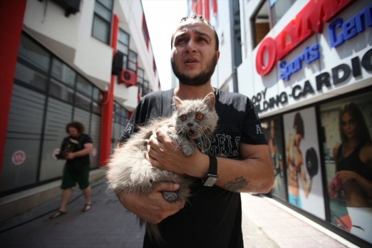 Bursa'da  iş merkezinde çıkan yangında mahsur kalan kedileri itfaiye kurtardı