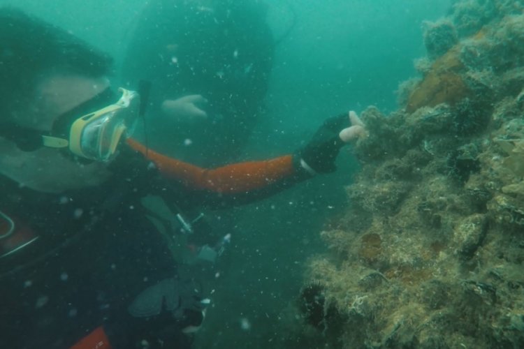 Bakan Pakdemirli Marmara Denizi'nden hayalet ağ çıkardı