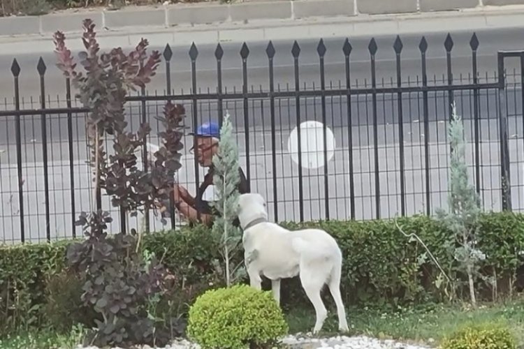Bakan Sel&ccedil;uk, sosyal medya hesabında k&ouml;peğe gazete okuyan vatandaşı paylaştı