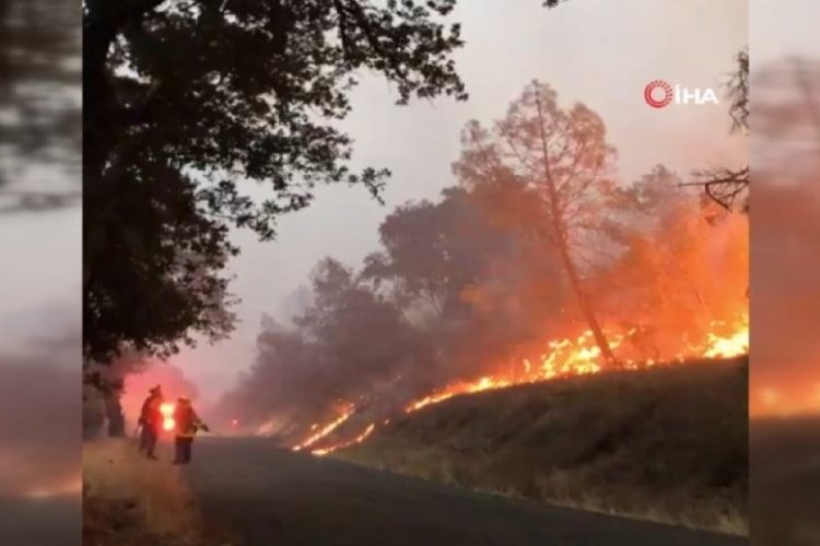 ABD'nin California eyaletindeki orman yangını g&uuml;nlerdir s&uuml;r&uuml;yor