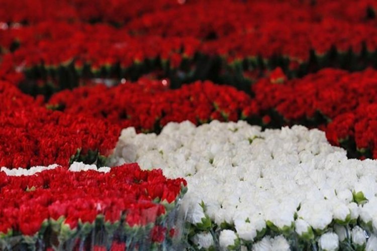 Denizli'den Hollanda ve Rusya'ya karanfil ihracatı