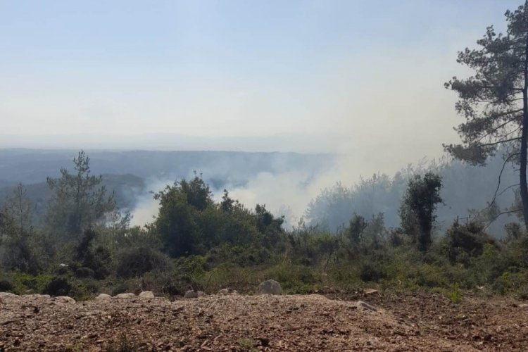 Osmaniye'de &ccedil;ıkan yangın kontrol altına alındı