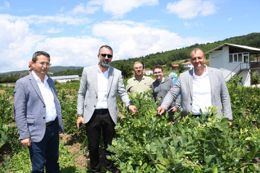 Bursa İznik'te yaban mersini hasadı festival ile ta&ccedil;landı