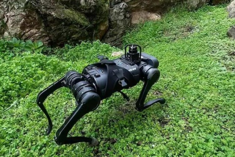 Robotlar insanlara bir adım daha yaklaştı