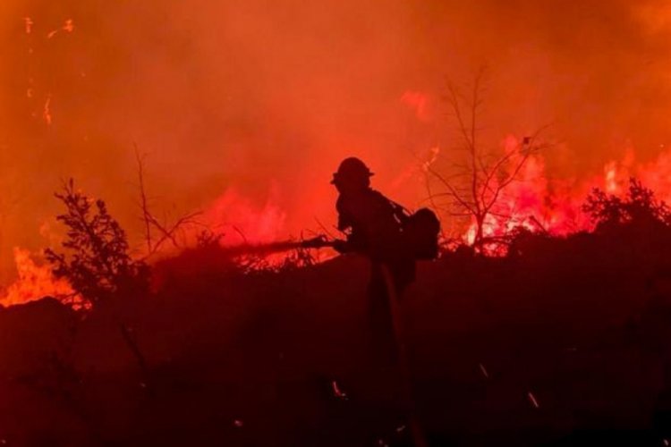 Kaliforniya'da orman yangını evleri k&uuml;le &ccedil;evirdi