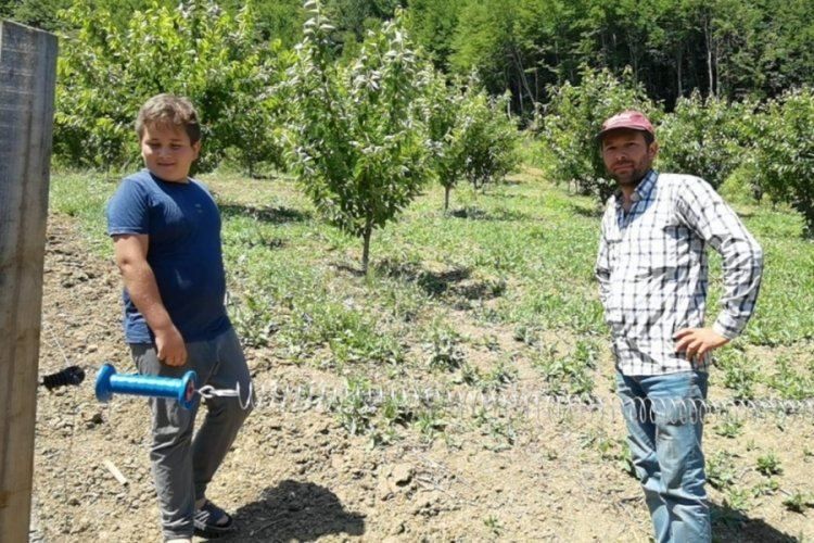 Bursa'da bah&ccedil;esini yaban hayvanlarından b&ouml;yle koruyor