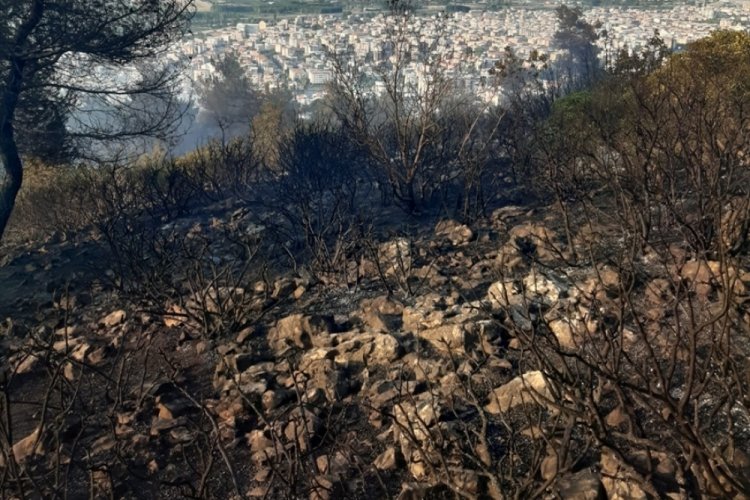 Soma'daki yangın kontrol altına alındı