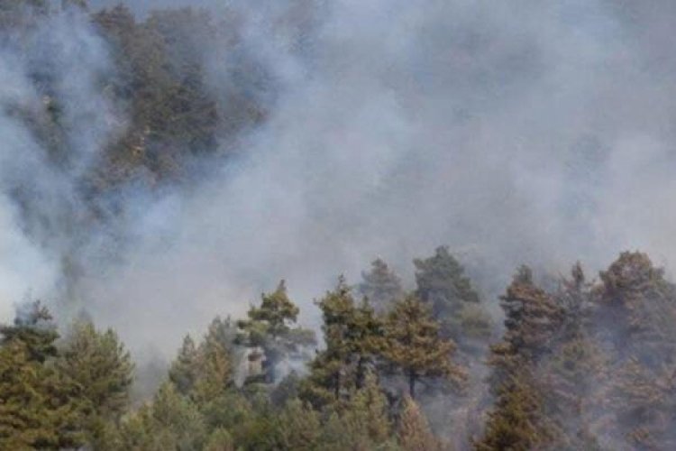 Sardunya Adası'nda b&uuml;y&uuml;k yangın