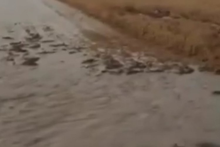 K&uuml;tahya'da aşırı yağış zarara yol a&ccedil;tı