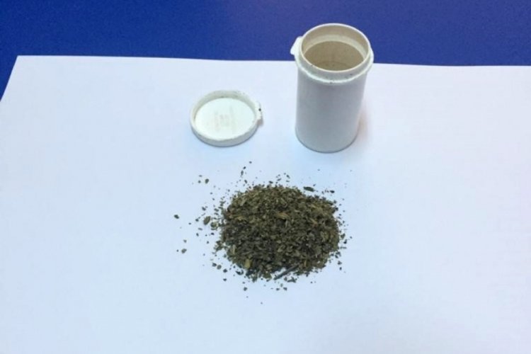 Bursa İznik'te uyuşturucu operasyonu