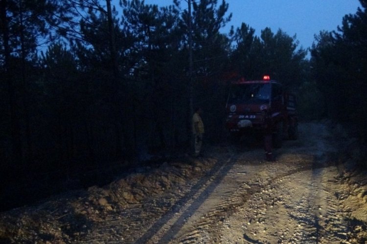 Uşak'ta 9 farklı noktada orman yangını!
