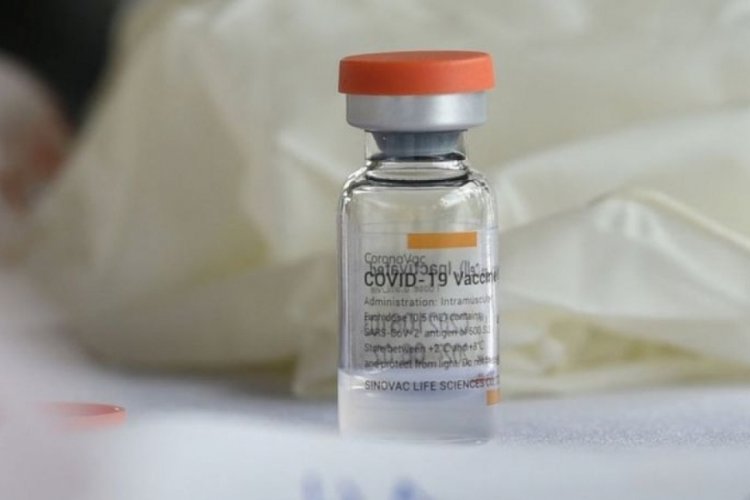CoronaVac aşısında antikor seviyesinde düşüş