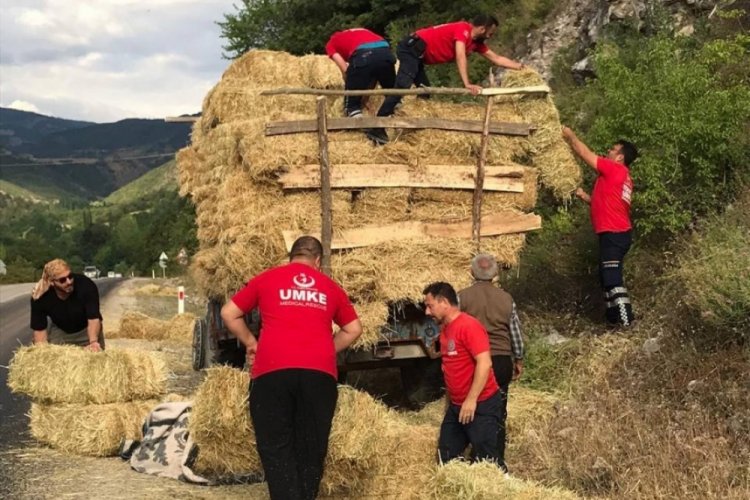 Tokat'ta yola d&ouml;k&uuml;len balyalara UMKE'den yardım!