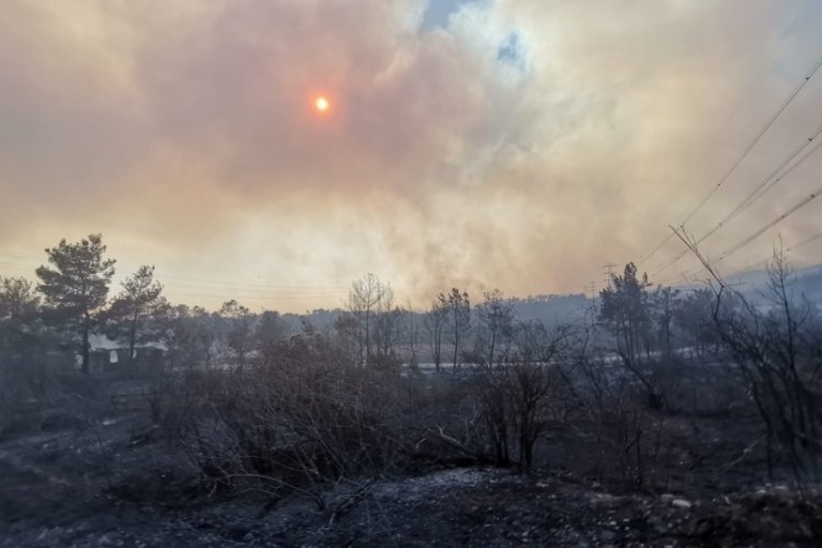 Manavgat'taki yangına ilişkin bakanlardan peş peşe a&ccedil;ıklamalar