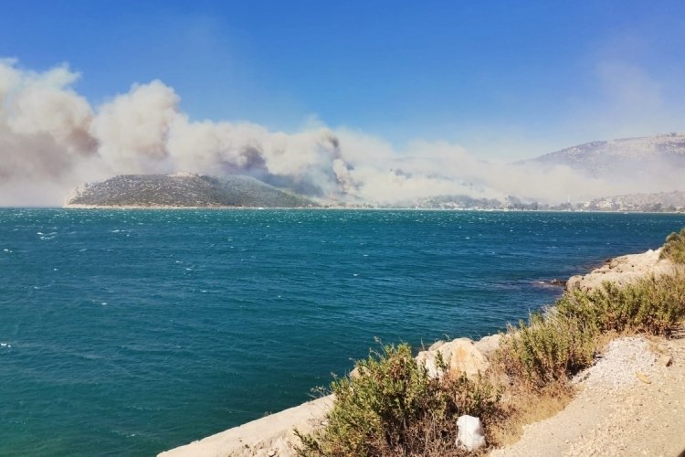 Mersin Silifke�de de yangın çıktı! Güncel Haberler