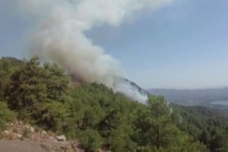 Muğla'da K&ouml;yceğiz ormanları da yanmaya başladı
