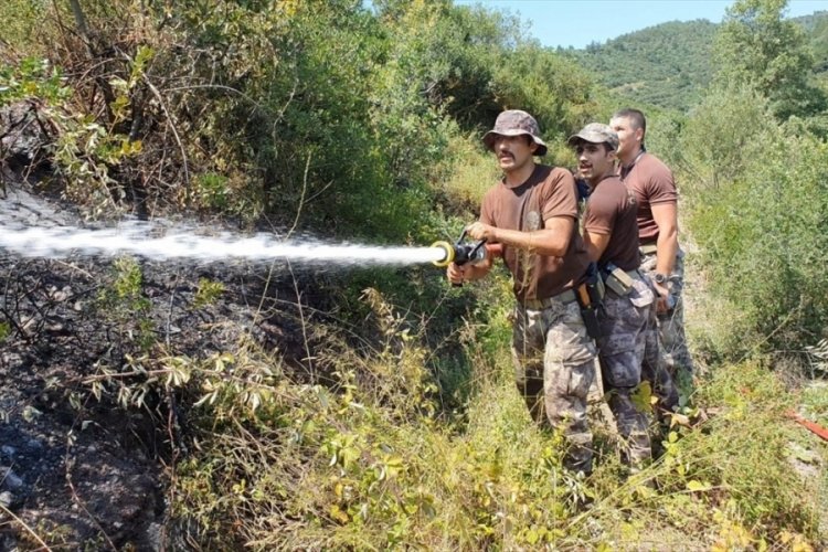 Kocaeli K&ouml;rfez'deki yangında 20 d&ouml;n&uuml;m alan zarar g&ouml;rd&uuml;