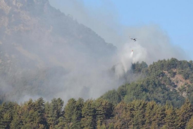 Adana Kozan ve Aladağ'daki yangınlarda son durum!