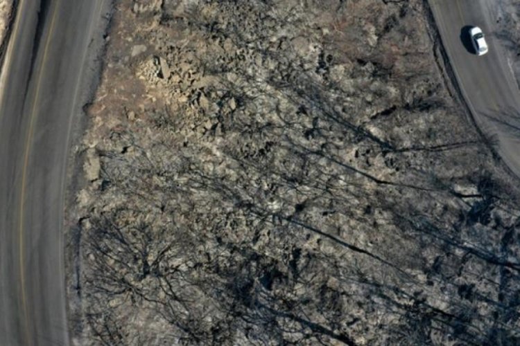 Marmaris yangınında t&uuml;yler &uuml;rperten g&ouml;r&uuml;nt&uuml;! G&uuml;n ağarınca ortaya &ccedil;ıktı