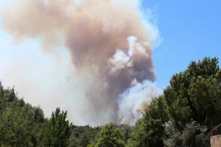 Adana'da 4 il&ccedil;ede 6 noktada orman yangını!