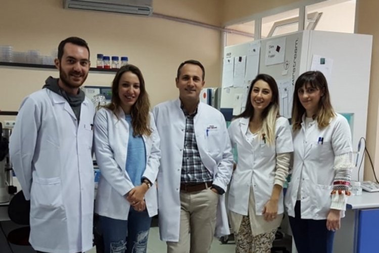 Bursa Uludağ &Uuml;niversitesi akademisyenlerinden k&uuml;&ccedil;&uuml;kbaş hayvancılığı i&ccedil;in yeni aşı