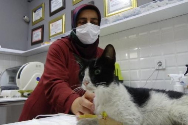Zonguldak'ta iğren&ccedil; olay! "Cinsel saldırılara, işkencelere devam ediliyor"