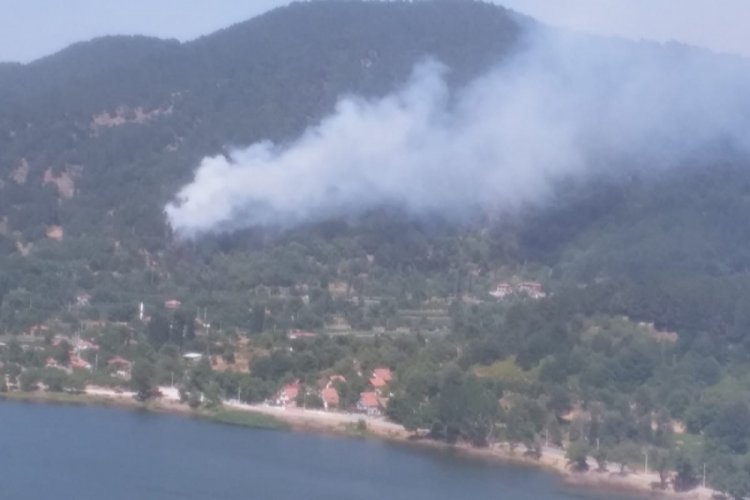 Bingöl ve Özdemiş'teki yangın kontrol altına alındı