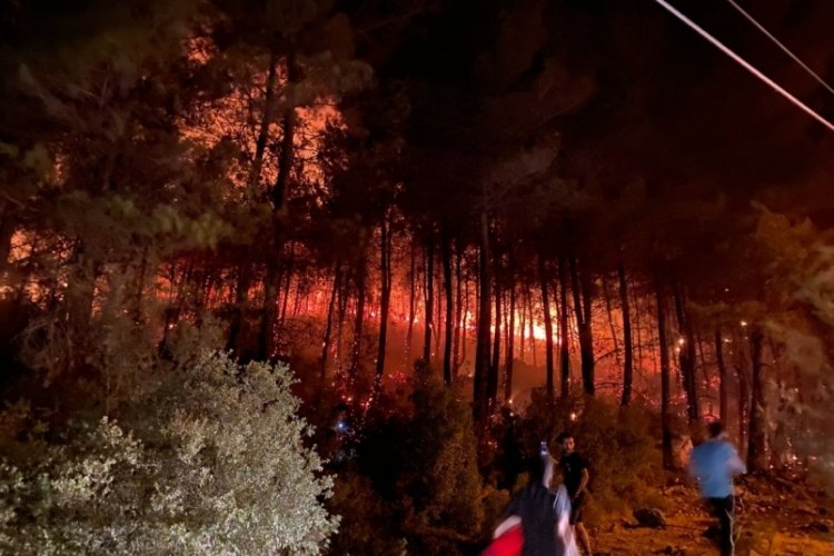 Şimdi de Fethiye'de yangın çıktı!