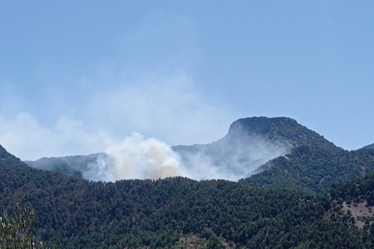 Adana Kozan'daki yangın kontrol altına alındı