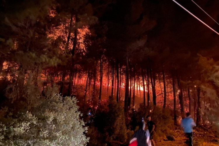 Fethiye'deki yangın kontrol altına alındı