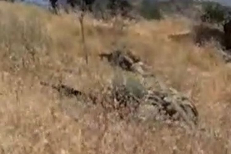 Saldırı hazırlığındaki 2 terörist etkisiz hale getirildi