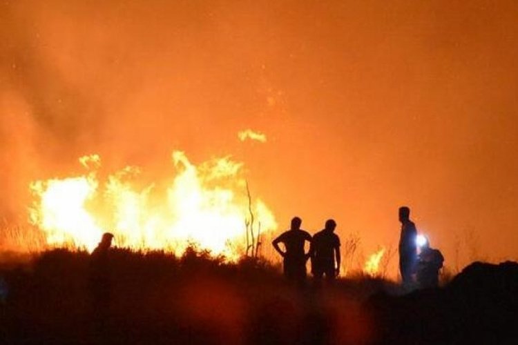 TSB'den "yangınların zararlarının hafifletilmesine yönelik" tavsiye kararı