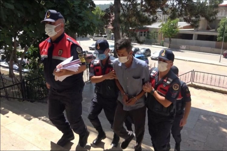Orman yangını ş&uuml;phelisi adli kontrolle serbest bırakıldı