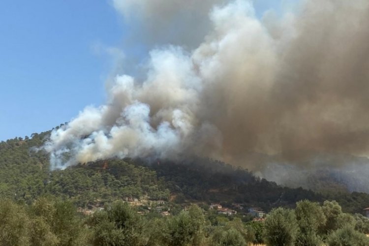 Marmaris'te alevler yerleşim yerlerine yaklaştı