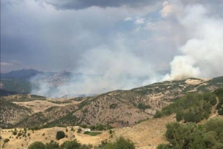 Tunceli'deki orman yangını kontrol altına alındı